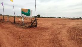True Gold 9, Hyderabad - Residential Plots