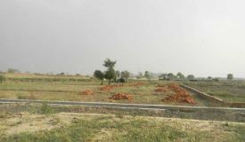 Joynest Mansa, Mansa - Residenatial Plots