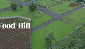 WestWood Hill