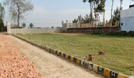 Viva County, Lucknow - Residential Plots