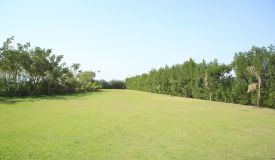 Balaji Dream City, Ahmedabad - Residential Plots