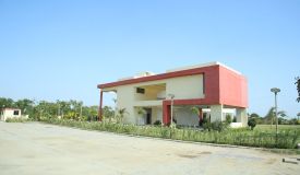 Balaji Dream City, Ahmedabad - Residential Plots