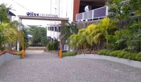 Olive Celestina, Kottayam - 2/3 BHK Homes