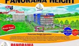 Panorama Height