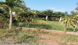 Anand Green City, Indore - Residential Plots