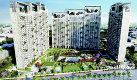 Prateek Edifice, Noida - 3/4/5 BHK Homes