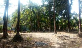 Cliff Haven, Raigad - 1/2 BHK Apartment