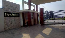 Dev Avenue