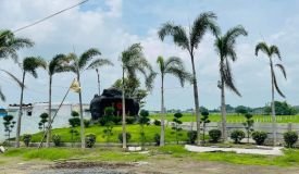 Palm Corridor, Indore - Residential Plots