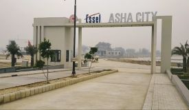 Asha City