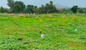 Shiv Shrushati, Nashik - Residential Plots