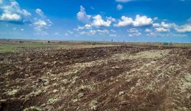 Green Hills Farms, Sangareddy - Farm Land