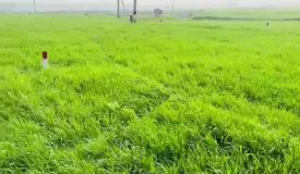 GOLDEN PAARK, Darbhanga - Residential Plots