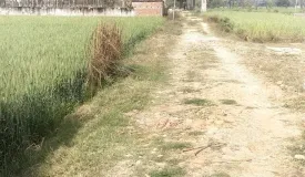 Buddha Nagari