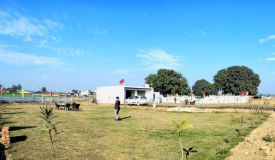 Asha Green, Gautam Buddha Nagar - Residential Plots