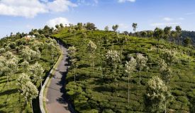 Adar, Nilgiris - A Dreamy and Luxurious Plots
