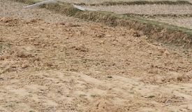 Hills Court, Ranchi - Residential Plots