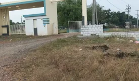 Divine Homes