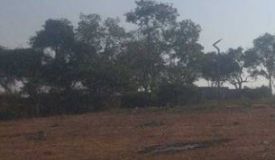 Guru Punvaanii Lotus, Mysore - Residential Plots