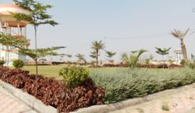 Padmavati Platinum, Indore - Residential Plots