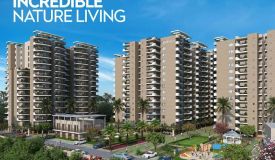 Rof Atulyas, Gurgaon - 3 BHK Independent House