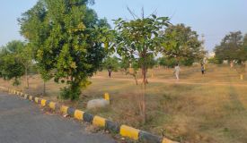 Sv Golden City, Hyderabad - Residential Plots