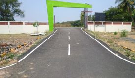 Sri Padmavathi Garden