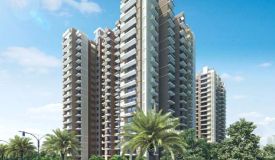 Pristine Avenue, Noida - Residential Apartments