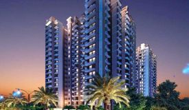 Pristine Avenue, Noida - Residential Apartments