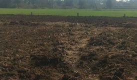 Baba Barfani Residential, Patna - Residential Plots