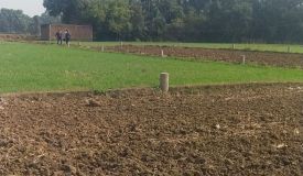 Baba Barfani Residential, Patna - Residential Plots