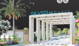 Silver Dunes
