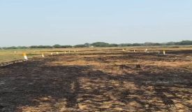 Knowledge Park, Patna - Residential and Commercial Plots