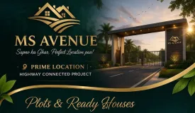 MS Avenue