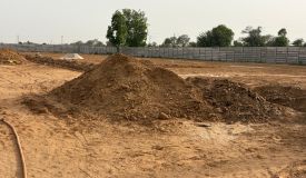 Soham Farms