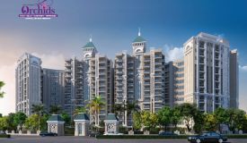 Shri Vrinda Orchids