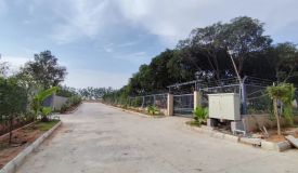 Tree Shades, Hyderabad - Residential Plots