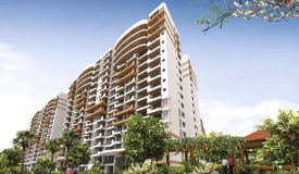 Maple Woods, Indore - 2/3/4 BHK Apartment