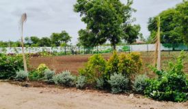 Arvi Retreat, Rangareddy - Residential Plots