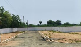 Darwin Nagar, Tiruchirappalli - Residential Plots