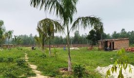 GENIAS Palm Green City, Moradabad - Residential Plots