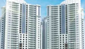 DLF Park Place, Gurgaon - Residential Apartments