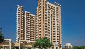 Eldeco Accolade, Gurgaon - 2/3 BHK Aparment