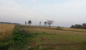 Subhaalaya, Gorakhpur - Residential Lands