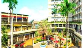 Emerald Plaza, Gurgaon - Commercial Shops