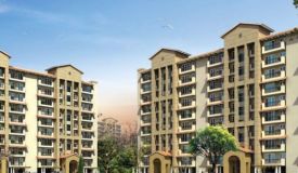 Emaar Palm Hills, Gurgaon - Residential Tower