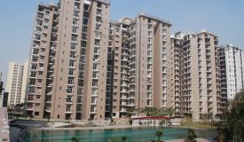 Amrapali Zodiac, Noida - 2/3/4 BHK Apartment