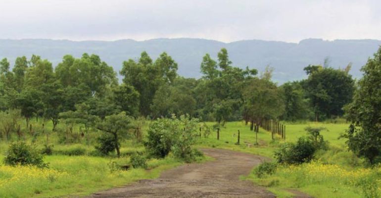 Sairung Serenity, Pune - Residential Plots