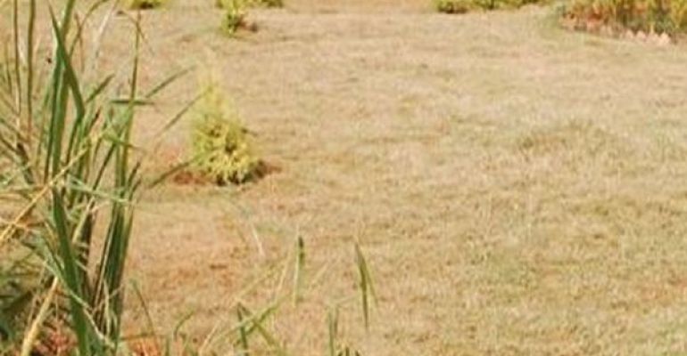 Upkar Kamakshi Layout, Bangalore - Upkar Kamakshi Layout
