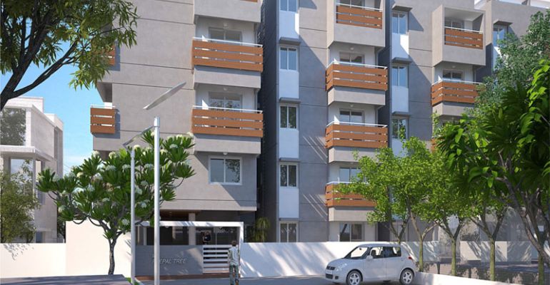 Columbia Peepal Tree, Bangalore - Columbia Peepal Tree